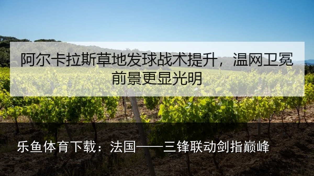 乐鱼体育下载:法国——三锋联动剑指巅峰