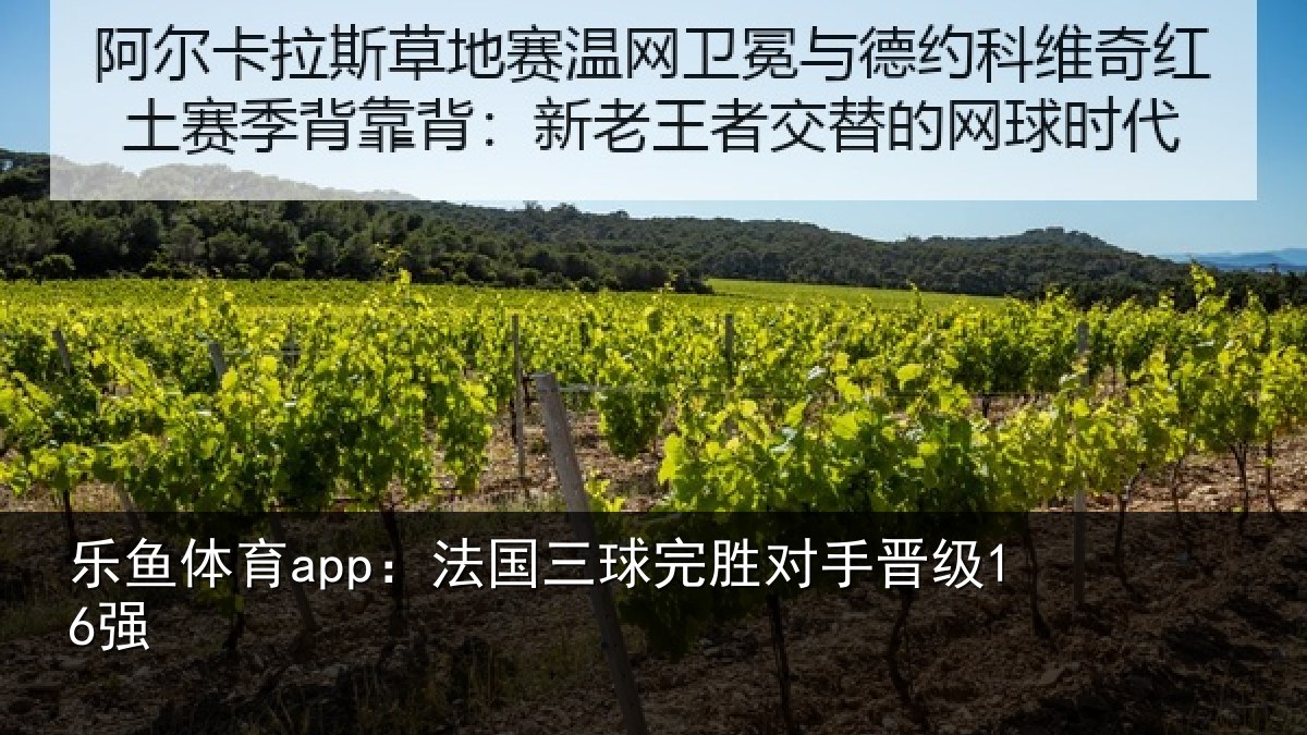 乐鱼体育app:法国三球完胜对手晋级16强