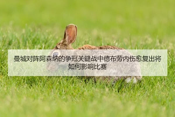 曼城对阵阿森纳的争冠关键战中德布劳内伤愈复出将如何影响比赛